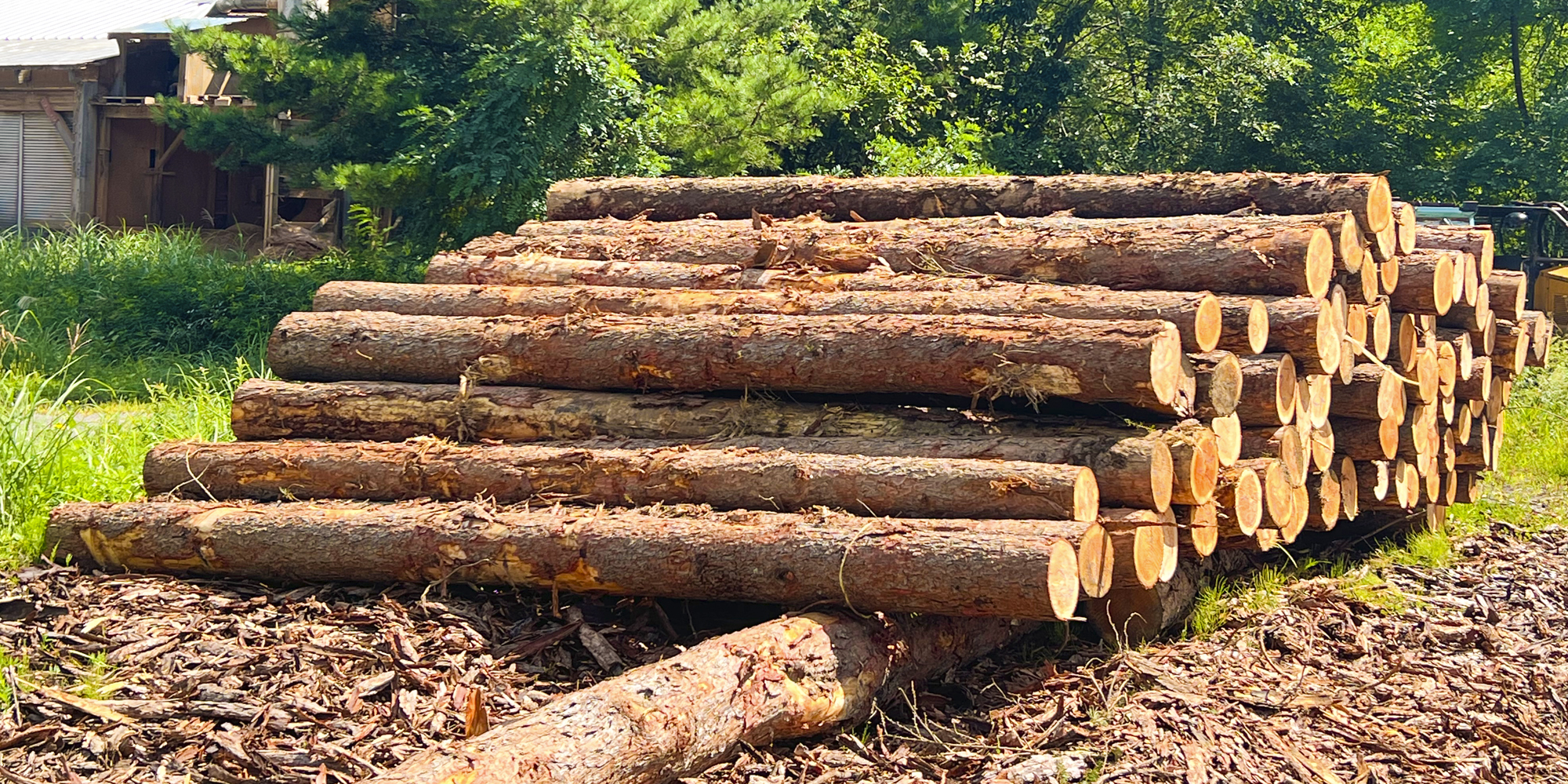 有限会社高吟製材所