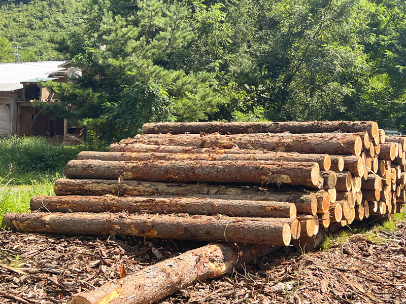 こだわりの木材